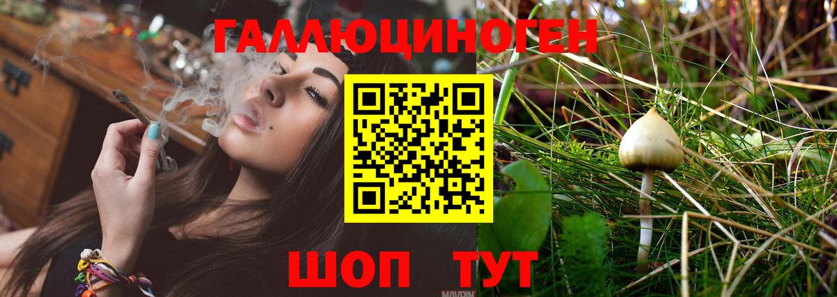 Бошки Шишки  Вход с VPN  Зима  ГАШ  Лсд 25  Меф кристаллы  КОКАИН 