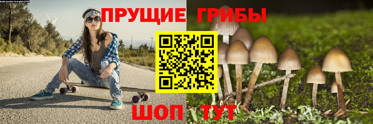 Зима  Галлюциногенные грибы MAGIC MUSHROOMS  Вход с VPN  Галлюциногенные грибы Magic Shrooms 